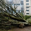 Oluja u Francuskoj: Dvije osobe poginule, 600.000 domaćinstava  bez struje