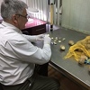 Zemlje EU poslale zaraženi krompir u BiH: Inspektorat RS-a vratio oko 77 tona