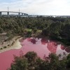 Prirodni fenomen: Jezero u Australiji postalo ružičasto