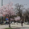 Naredne sedmice bez padavina, temperature do 22 stepena celzija