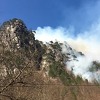 Požar na Boračkom jezeru: Gori endemska vrsta munika i crni bor