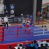 Amra Babajić i Semir Delić najbolji na Državnom prvenstvu u kickboxingu