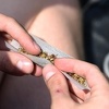 Trudeau ispunio obećanje: Kanada će do 2018. legalizirati marihuanu
