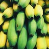 Njemačka policija pronašla 384 kg kokaina u kutijama s bananama