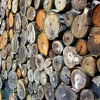 Drvna industrija radi ispod 30 posto svojih predratnih kapaciteta