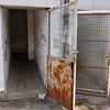 Socijalne zgrade u Otesu u veoma lošem stanju: Uništeni haustori, tone smeća i smrad