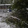 Radnici KJKP Park na terenu: Velika šteta zbog snijega na stablima i ukrasnom grmlju