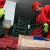 Ministarstva poljoprivrede FBiH i RS-a predstavila vodič za izvoz voća i povrća