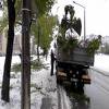 Ekipe "Parka" na terenu užurbano saniraju štetu na stablima i zelenim površinama