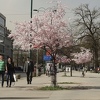 Izdržite još sutra: Od naredne sedmice dnevne temperature do 23 stepena