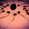 Istraživanje: Lijek za borbu protiv ženskog raka mogao bi se nalaziti u spermatozoidima