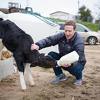 Da li će se Mark Zuckenberg kandidovati za predsjednika SAD-a?