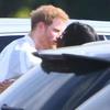 Princ Harry i Meghan Markle prvi put službeno u javnosti