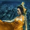 Izložba nagrađenih podvodnih fotografija "Bez granica" u subotu u Sarajevu