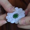 Cvijet Srebrenice uručen članovima Kanadskog parlamenta
