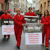 Aktivisti za životinje performansom pozvali Dom naroda na saosjećanje