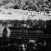 Aktivisti obilježili više od 40 neobilježnih mjesta stradanja u BiH