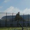 Avion sletio u Sydney s rupom u kućištu motora