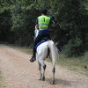 Održano endurance takmičenje u Grudama, pobjednik Dino Falan