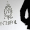 Interpol raspisao crvene potjernice za dvojicom Dobojlija