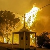 Portugal: Najmanje 62 žrtve požara, proglašena trodnevna žalost