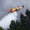 Srušio se avion koji je gasio katastrofalne požare u Portugalu