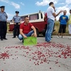 Zenički malinari spremni uništiti malinjake, pozvali političare da rade za 2 KM