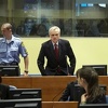 Stanišić u Hagu potvrdio da su Srbi u Hrvatskoj oružje dobili od JNA ili SDB-a Srbije