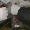 Španska policija uhapsila 65 osoba zbog trgovine konjskim mesom