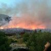 Požar na Hvaru: Kanaderi spriječili vatru da dođe do kuća, gori borova šuma