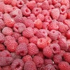 Otkupljivači: Cijena maline treba biti između 2,30 i 2,50 KM po kilogramu