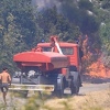 Velike posljedice požara: Nestaje plodno zemljište, dolazi do nedostatka vode i kiseonika