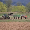 Ruralni razvoj između entitetskih nadležnosti i IPA-e: Hoće li BiH propasti 200 miliona eura