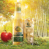 Vrhunske svirke na Somersby Bridgeu za vrijeme SFF-a