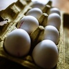 Slovenija povukla jaja iz Njemačke i Austrije zbog afere s fipronilom