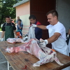 Zavod Pazarić neće primati kurbansko meso od fizičkih lica