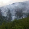 Požari u Trebinju i Ljubinju pod kontrolom, ugašeni u Bileći i Gacku