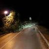 Olujno nevrijeme pogodilo Istru, vjetar rušio stabla