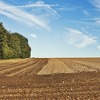 Jedan poljoprivrednik godišnje stvori 94.000 KM, a on sam jedva preživljava