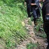 Zenički specijalci pronašli 28 stabljika indijske konoplje i osobu koja je brala