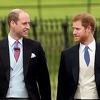 Prinčevi William i Harry: Morali smo skrivati osjećaje, najteži je bio hod iza Dianinog lijesa