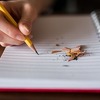 Bezbjednost i zaštita je novi predmet u srednjim školama u RS-u