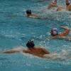 Međunarodni vaterpolo turnir "Sarajevo Champions Challenge" počinje u petak