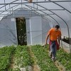 Montirano još 12 plastenika za poljoprivrednike iz općine Centar