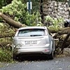 Olujni vjetar u Sarajevu rušio stabla i nosio krovove, aktivan narandžasti meteoalarm