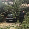 Posljedice nevremena u Mostaru: Srušena stabla, slupana auta i uništena imovina