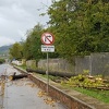 Usljed velikog nevremena u Zenici padala stabla, pričinjena materijalna šteta na vozilima
