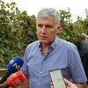 Čović na berbi grožđa: Evropska unija nas čeka otvorenih vrata, sve je do nas