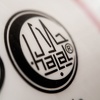 Halal certifikat u BiH ima 77 proizvođača hrane i 9 hotela i restorana, u ponudi 5.000 halal proizvoda