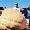 Farmer postavio novi rekord uzgojivši najveću tikvu u SAD-u